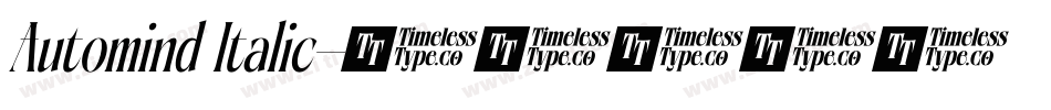 Automind Italic字体转换